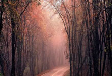 王一博进行中国超级跑车锦标赛赛前练习,赛车因积水失控冲出赛道.