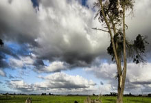 亚历山大25+7雷霆击败热火 豪取NBA常规赛7连胜央视网.