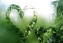 [德甲]榜首之战 法兰克福战平拜仁慕尼黑.