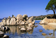 德尚:感谢迈尼昂帮助球队晋级 姆巴佩光芒四射.